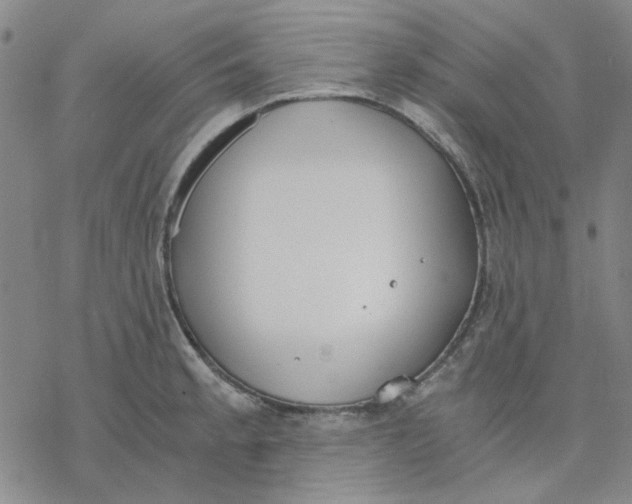 X0000076391189200610271545