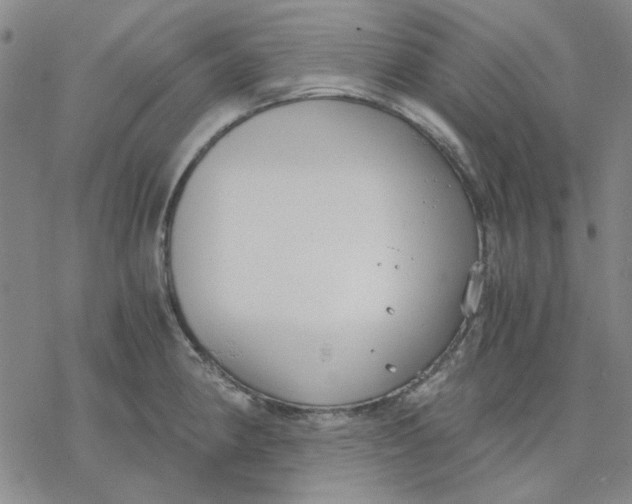 X0000076391190200610271545