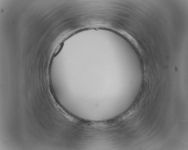 X0000076391191200610271545