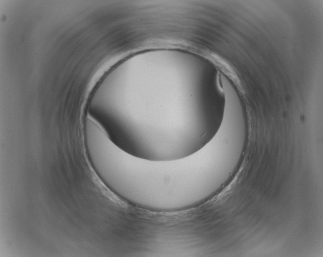 X0000076391192200610271545