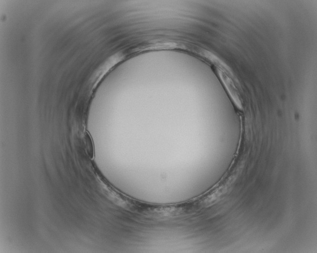 X0000076391193200610271545