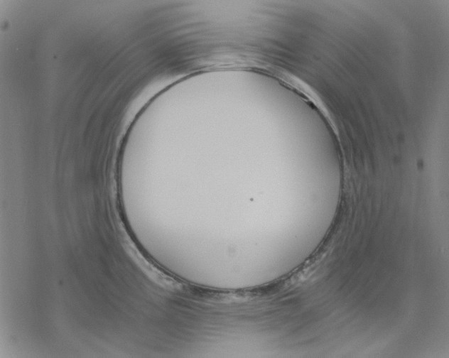 X0000076391195200610271545