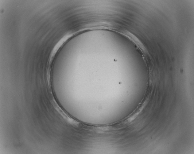 X0000076391196200610271545