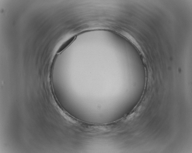 X0000076391197200610271545