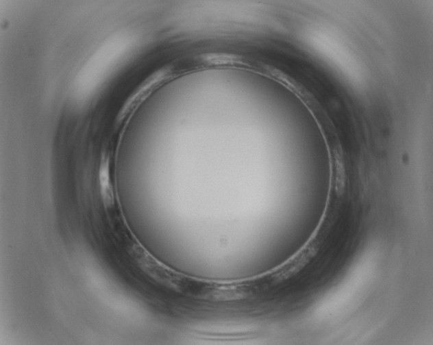 X0000076391198200610271545