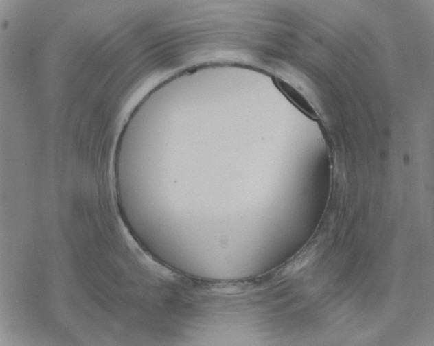 X0000076391199200610271545