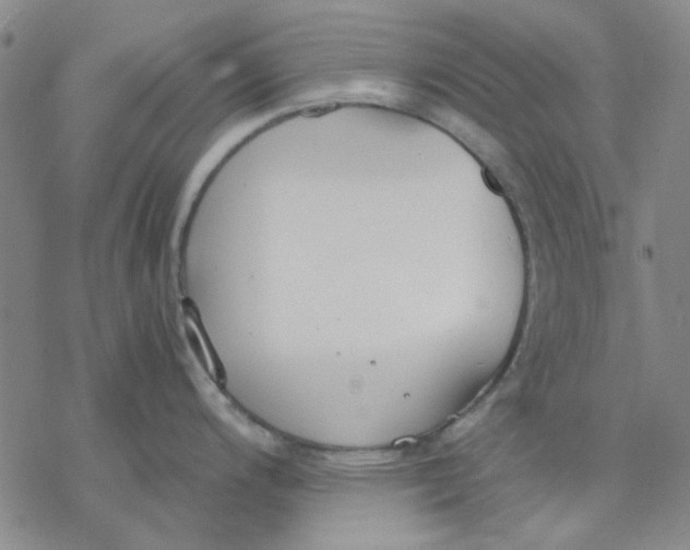 X0000076391200200610271545