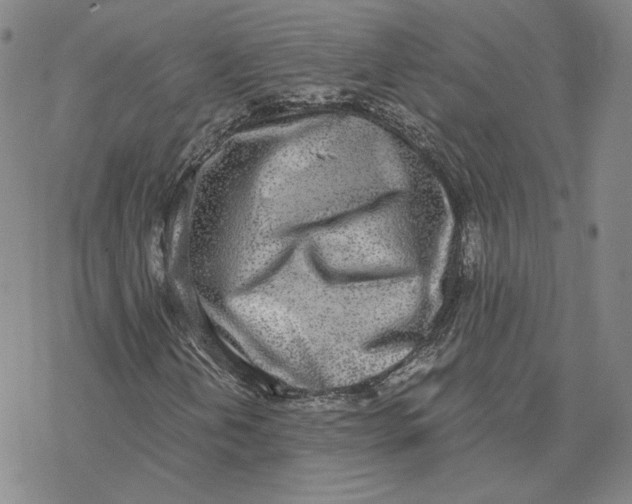 X0000076391202200610271544