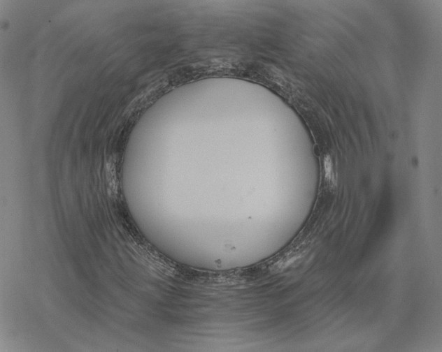 X0000076391203200610271544