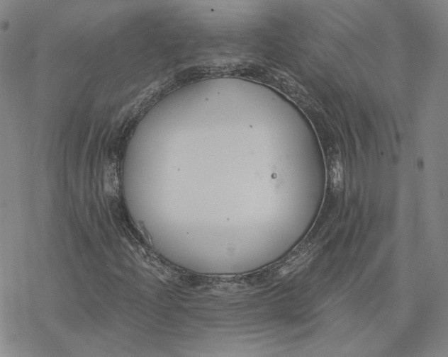 X0000076391204200610271544