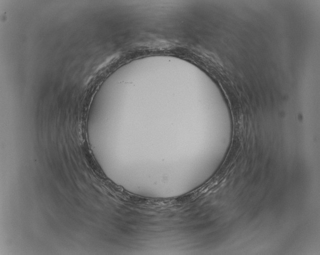 X0000076391205200610271544