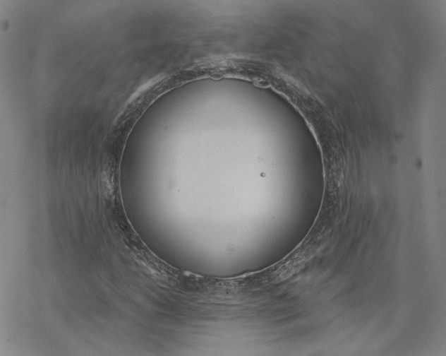 X0000076391206200610271544