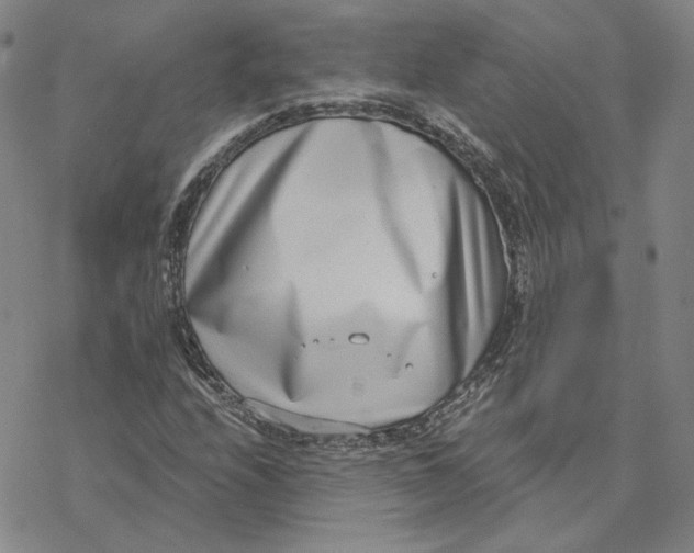 X0000076391208200610271544