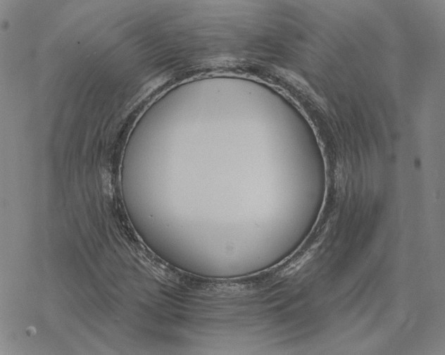 X0000076391209200610271544