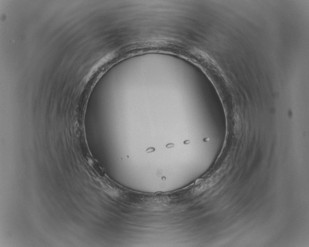 X0000076391210200610271544