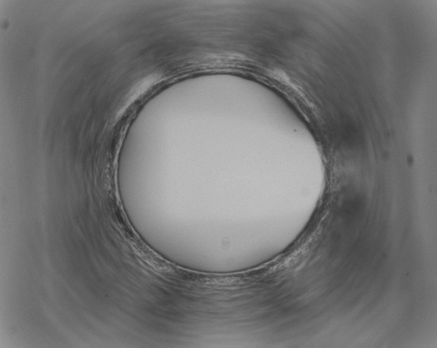 X0000076391211200610271544