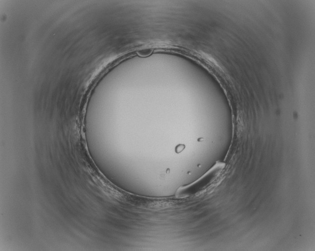 X0000076391212200610271544