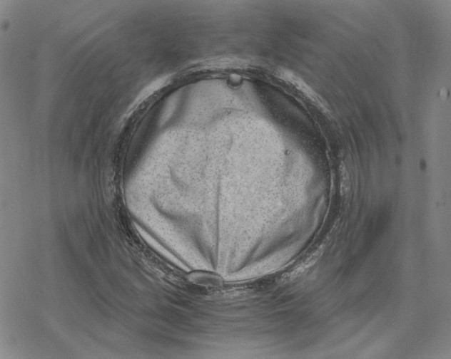 X0000076391213200610271544