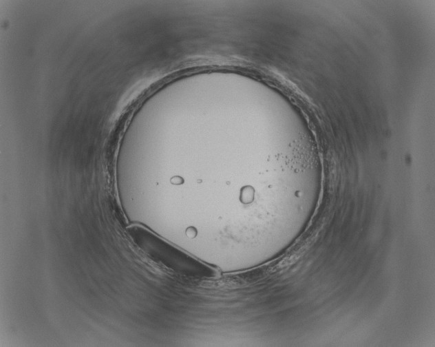 X0000076391215200610271544