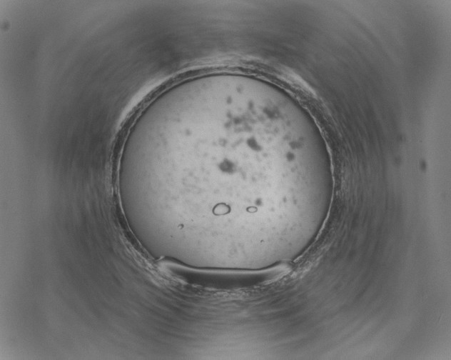 X0000076391216200610271544