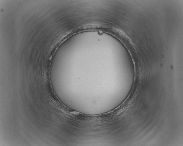 X0000076391217200610271544