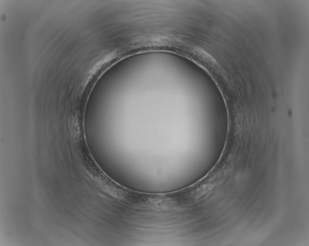 X0000076391218200610271544