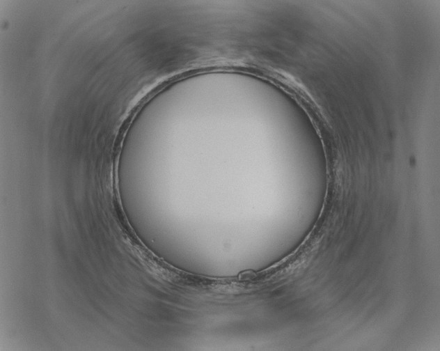 X0000076391220200610271544