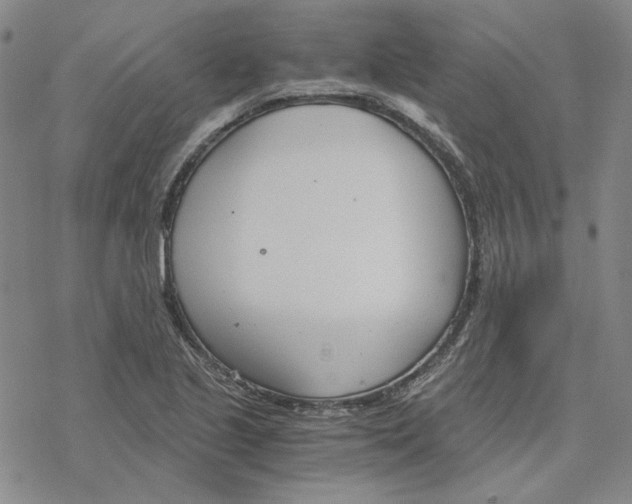 X0000076391221200610271544