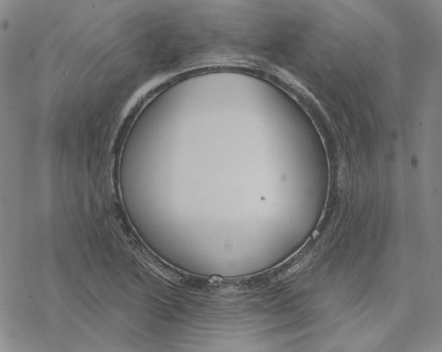 X0000076391222200610271545