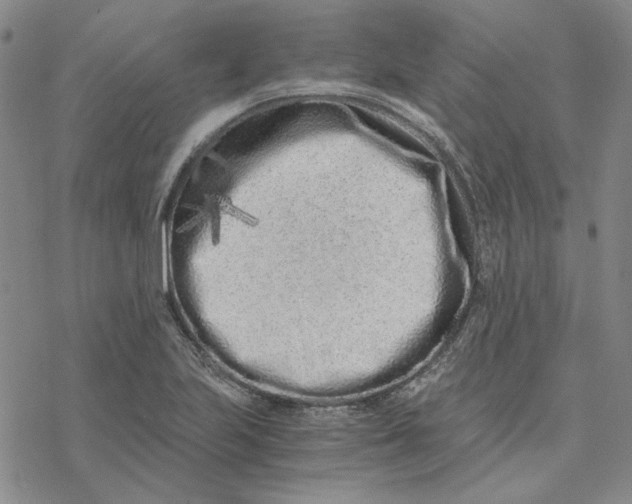 X0000076391223200610271545