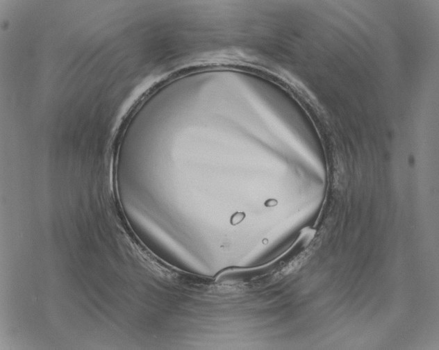 X0000076391224200610271545