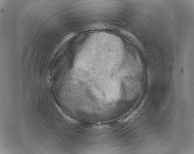 X0000076391225200610271545