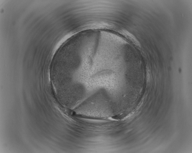 X0000076391226200610271545