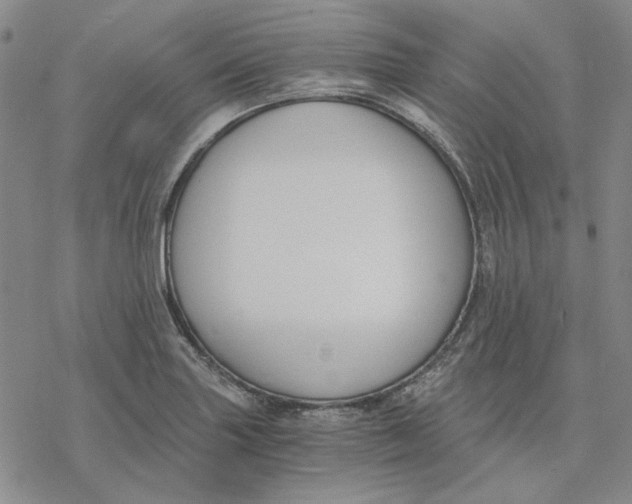 X0000076391227200610271545