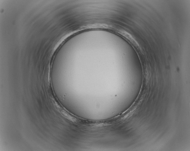 X0000076391228200610271545