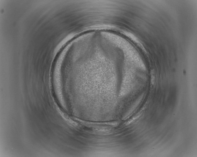 X0000076391229200610271545