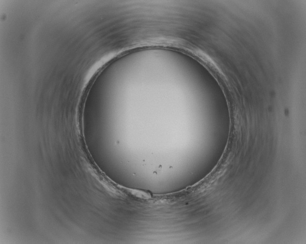 X0000076391230200610271545