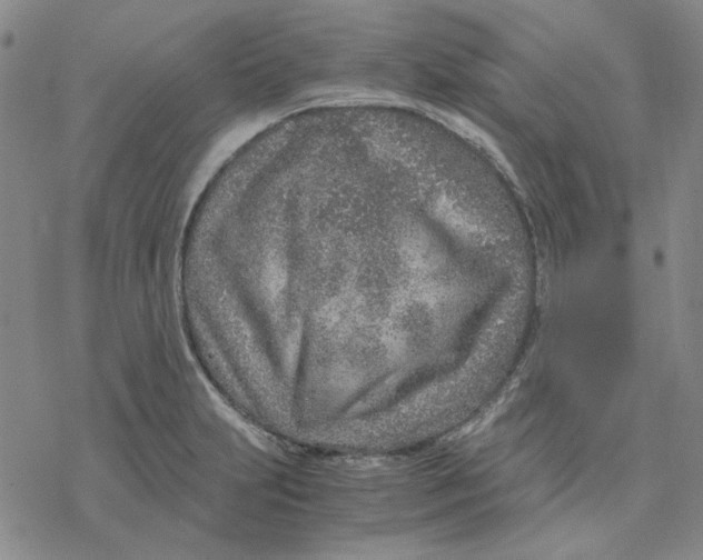 X0000076391231200610271545