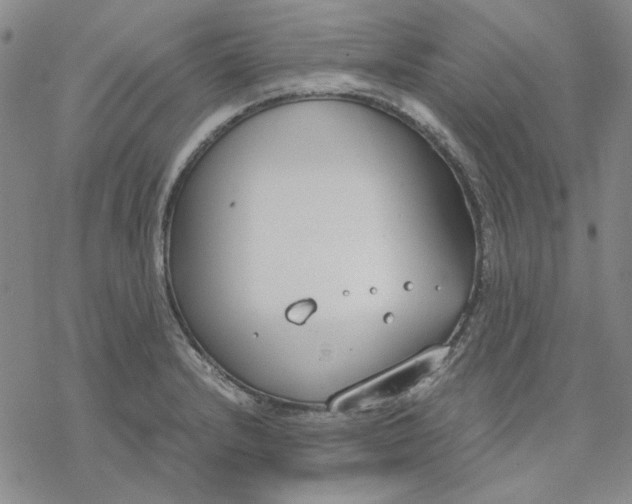 X0000076391232200610271545