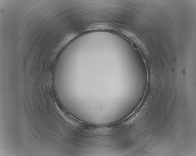 X0000076391233200610271545