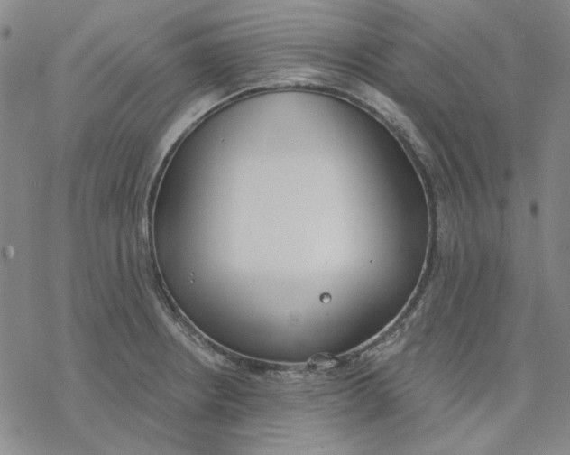 X0000076391234200610271545