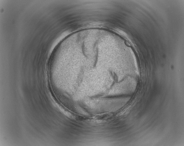 X0000076391235200610271545