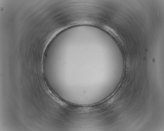 X0000076391236200610271545