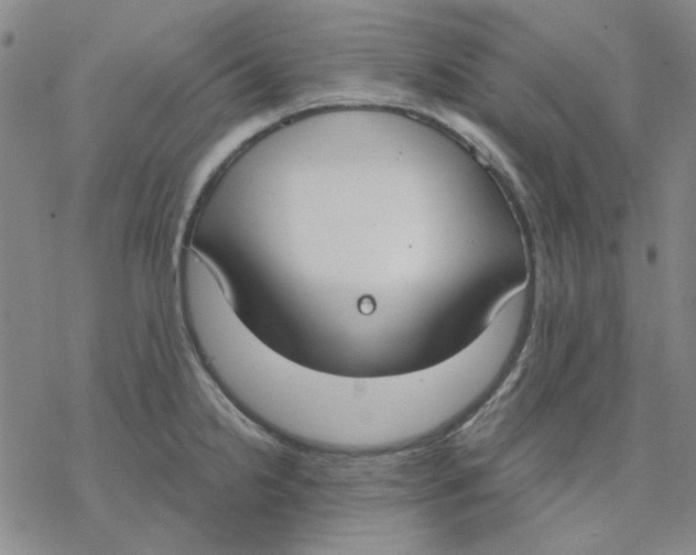 X0000076391238200610271545