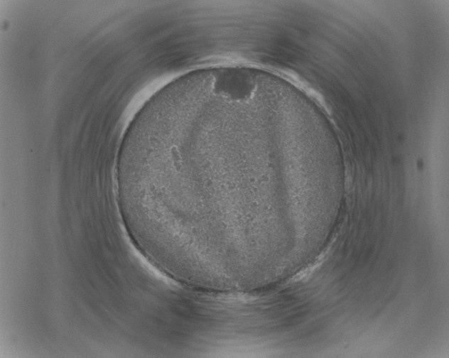 X0000076391239200610271545