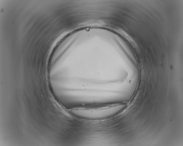 X0000076391240200610271545