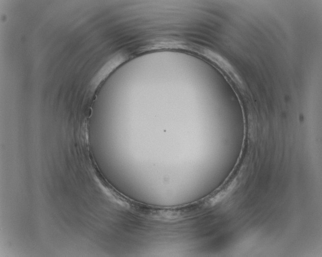 X0000076391241200610271545