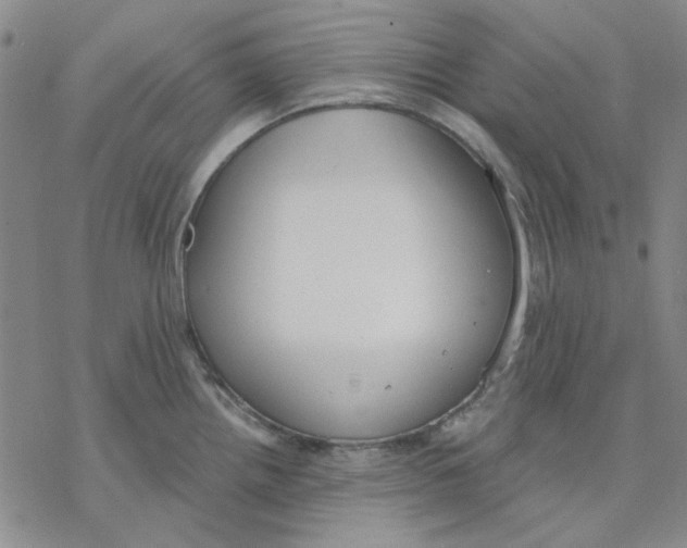 X0000076391242200610271545