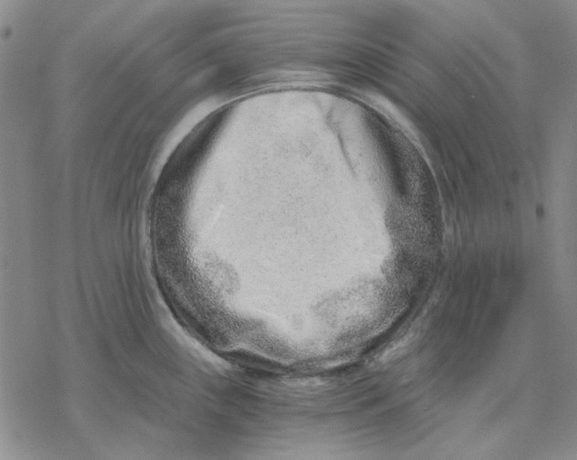 X0000076391243200610271545