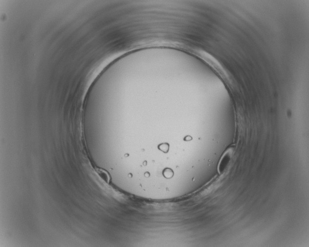 X0000076391244200610271545